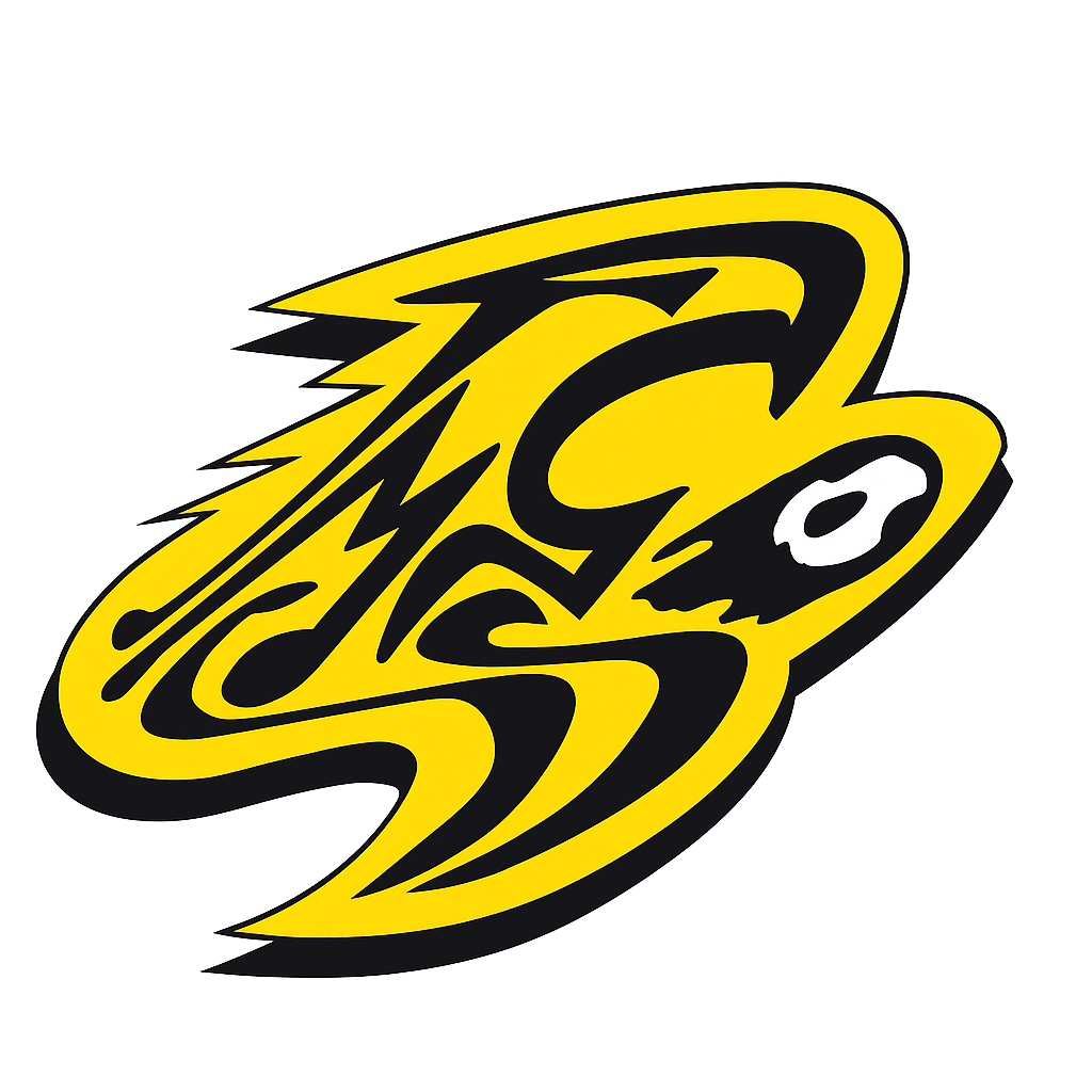 FMSS Logo